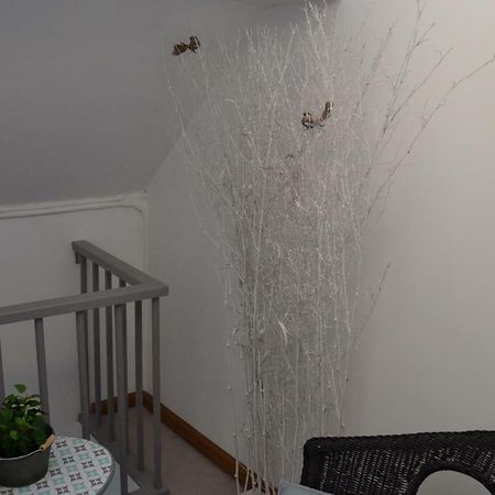 Au Bobeli'Nid - Gite Citadin Au Coeur De Spa Ngoại thất bức ảnh
